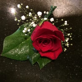 Red rose with baby's breath and green leaves on a dark surface