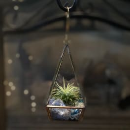 Small hanging terrarium with an air plant and blue glass stones