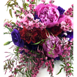 Cascading bouquet of pink peonies, burgundy blooms, and deep purple flowers on a white background