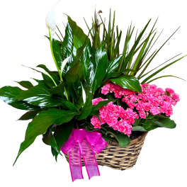 Planter with leafy green plants, a white bloom, and bright pink flowers in a woven basket with a pink bow.