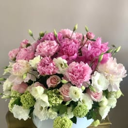 Low round arrangement of pink peonies, blush roses, white blooms and green hydrangea in a white box