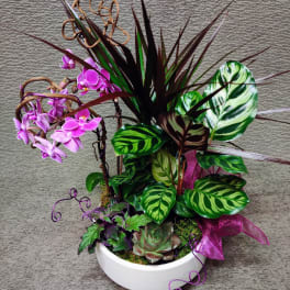 Mixed potted plants with purple orchids in a white bowl planter