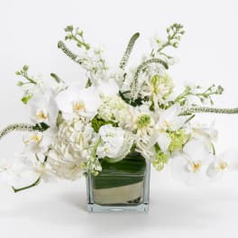 White orchid and hydrangea arrangement in a square glass vase