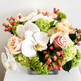 Low arrangement of white orchids, blush roses, and green blooms in a clear glass cube vase