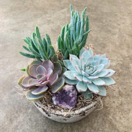 Succulent arrangement in a shallow bowl with a purple crystal accent