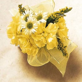 Yellow bouquet with white daisy-like flowers and sheer ribbon wrap