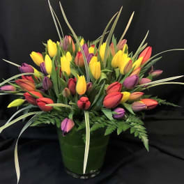 100 Tulips in a Vase