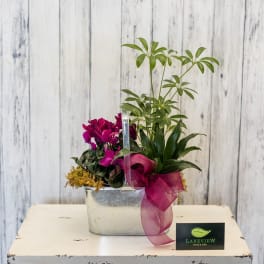 Mixed green plants and magenta flowers in a metal container with a pink ribbon bow.