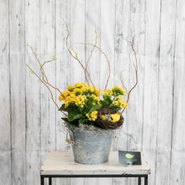 Yellow flowering plant in a metal bucket with twigs and a bird nest accent on a small table