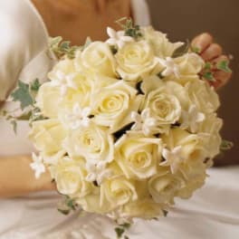 Bride holding a bouquet of cream roses and white flowers