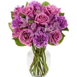Purple roses and carnations in a clear glass vase