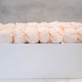 Blush Roses in Oval White Container