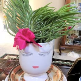 Potted green plant in a white face-shaped vase with a pink bow