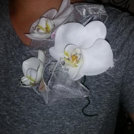 White orchid corsage with sheer ribbon on a person's shoulder