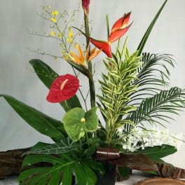 Tropical floral arrangement with red anthuriums and orange bird of paradise