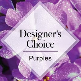 Graphic of dewy purple flowers with a translucent diamond overlay labeled Designer's Choice Purples