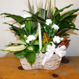 White carnations and tropical foliage in a wicker basket with a white bow