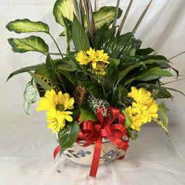 Yellow daisies in a decorative ceramic pot with a red bow