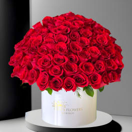 Large bouquet of red roses in a white hatbox