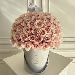 MFS 50 Rose Box (Mondial Pink)