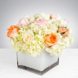 Low arrangement of peach and pink roses with white hydrangeas in a square glass vase