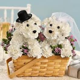 Two white teddy bears in a basket with small pink flowers