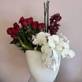 Red roses and white orchids arranged in a white vase