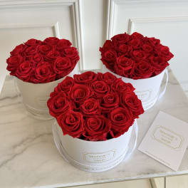 Three round boxes filled with red roses on a marble surface