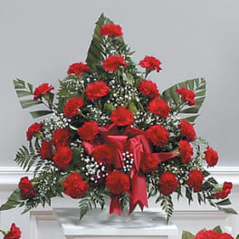 Fan-shaped arrangement of red carnations with white filler flowers and a red bow on a white pedestal