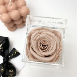 Single blush rose in a clear box with a bubble candle and black ribbon