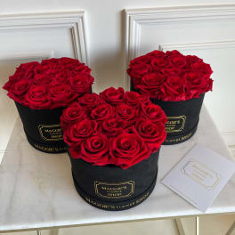 Three round boxes filled with red roses on a table