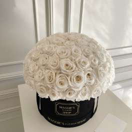 Large dome of white roses in a black hatbox