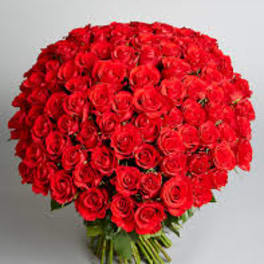 Large bouquet of red roses with stems gathered at the bottom