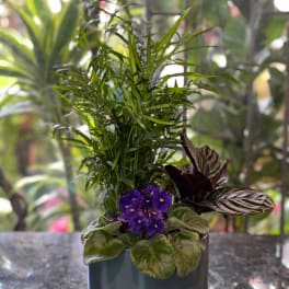 Potted plant arrangement with purple blooms in a gray container