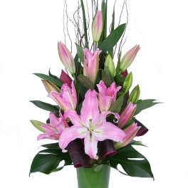 Pink lilies arranged in a tall green vase with dark foliage