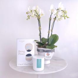 White orchids in a striped pot with a book and candle beside it