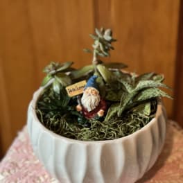 Small potted succulent arrangement with a gnome figurine holding a welcome sign
