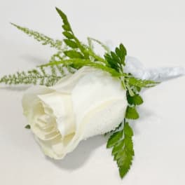White rose boutonniere with green foliage on a white background