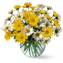Bouquet of yellow and white daisies in a glass vase