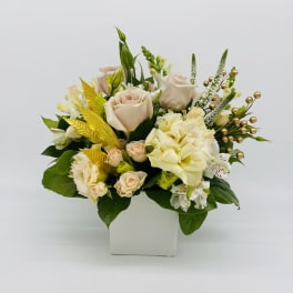 Low arrangement of cream roses and mixed white flowers in a square white vase