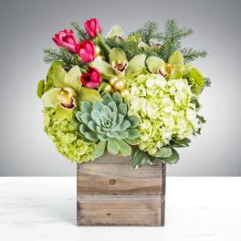 Compact arrangement of green hydrangeas, orchids, succulent, and pink tulips in a wooden box.