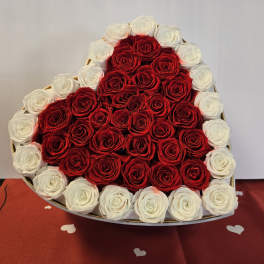 Heart-shaped box filled with red roses bordered by white roses.