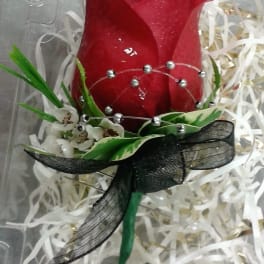 Single red rose with decorative ribbon and beads in clear wrap