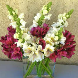 Bouquet of white and magenta flowers in a clear glass vase