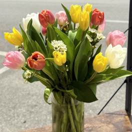 Mixed tulips in pink, yellow, white, and red in a glass vase