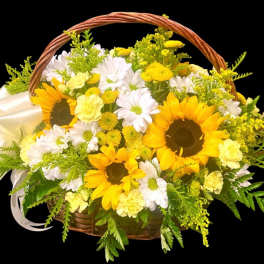 Basket of yellow sunflowers and white daisies with a white bow