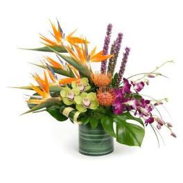 Tropical arrangement with orange birds of paradise, orchids, and protea in a green glass cylinder vase.