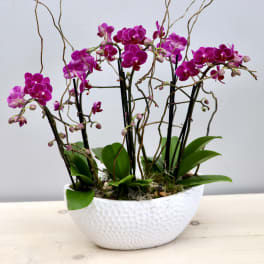 Purple orchids arranged in a white textured bowl planter