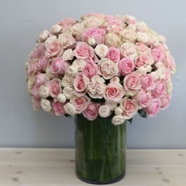 Large dome of pale pink and cream roses arranged in a tall glass cylinder vase.