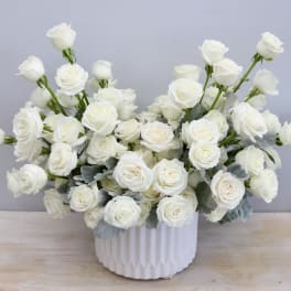 White roses arranged in a white ribbed vase